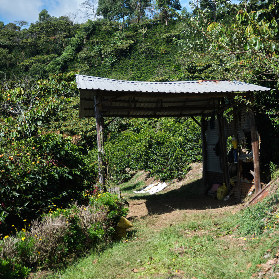 San Luis