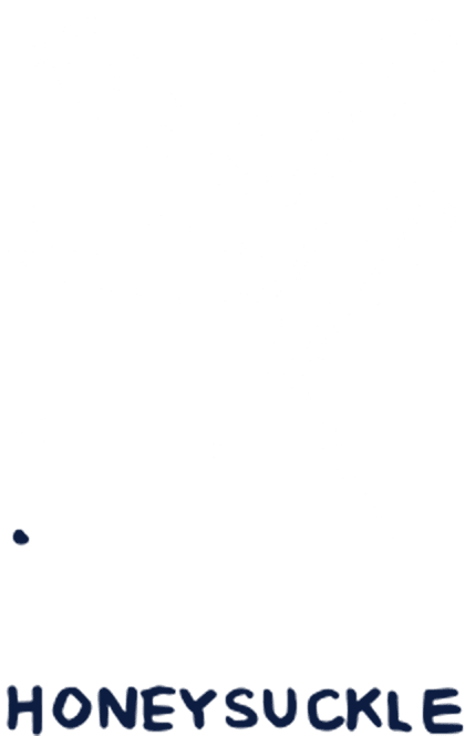 Notes of Honeysuckle